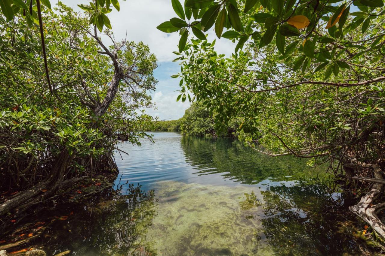 Yaxchen Tulum Cabanas & Cenote Экстерьер фото
