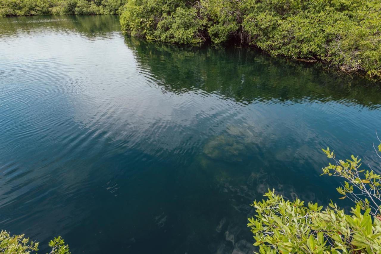 Yaxchen Tulum Cabanas & Cenote Экстерьер фото