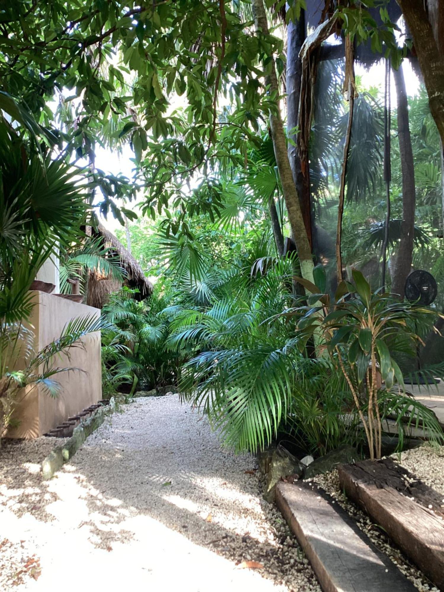 Yaxchen Tulum Cabanas & Cenote Экстерьер фото